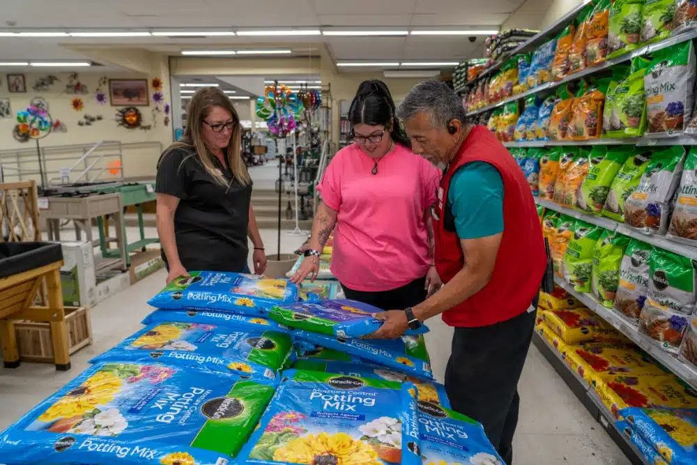 Lawn and Garden Experts