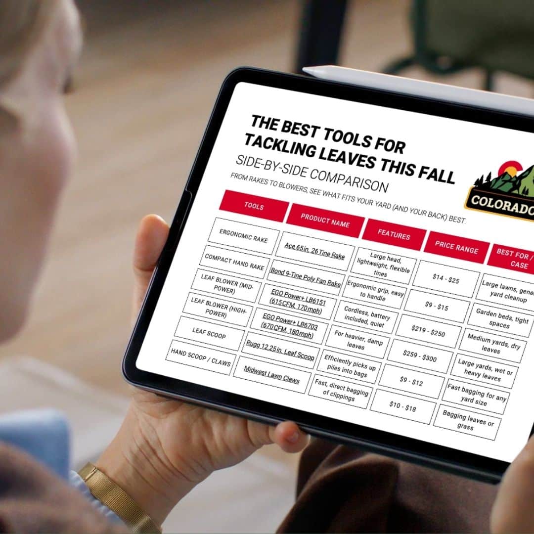 Person holding a tablet displaying a Colorado Ace Hardware guide titled “The Best Tools for Tackling Leaves This Fall,” featuring a side-by-side comparison chart of rakes, blowers, and scoops with prices and features.
