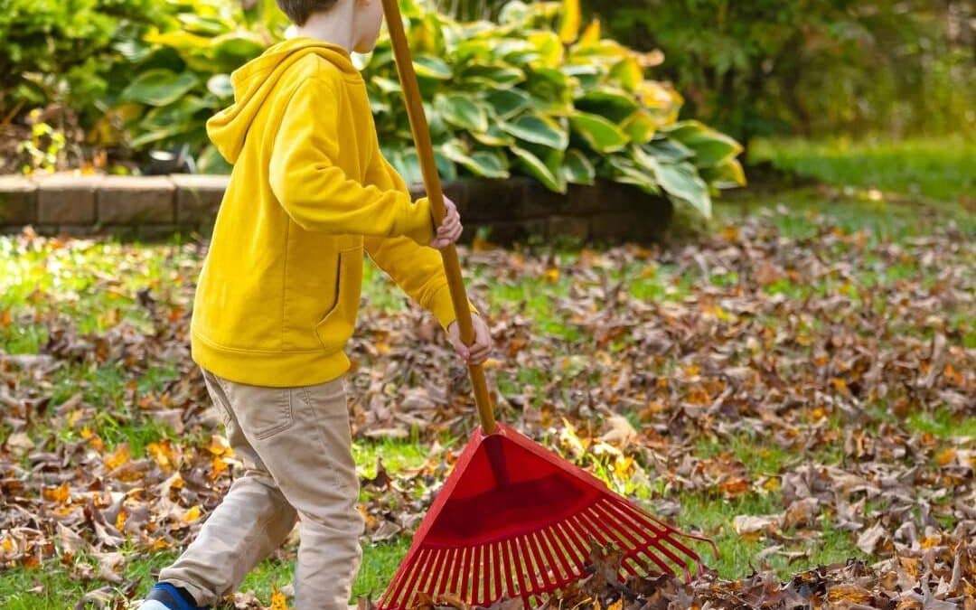 Raking Leaves Is the Worst! Try These 3 Tools to Make It Easier