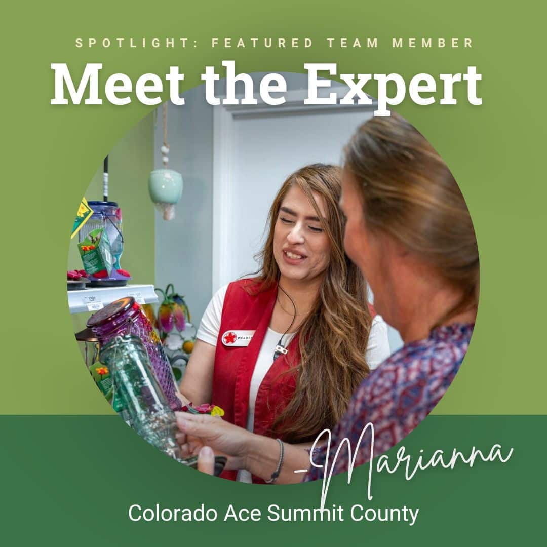 Ace Hardware associate Marianna assists a customer, showing a colorful glass item in the home décor section at Colorado Ace Summit County.