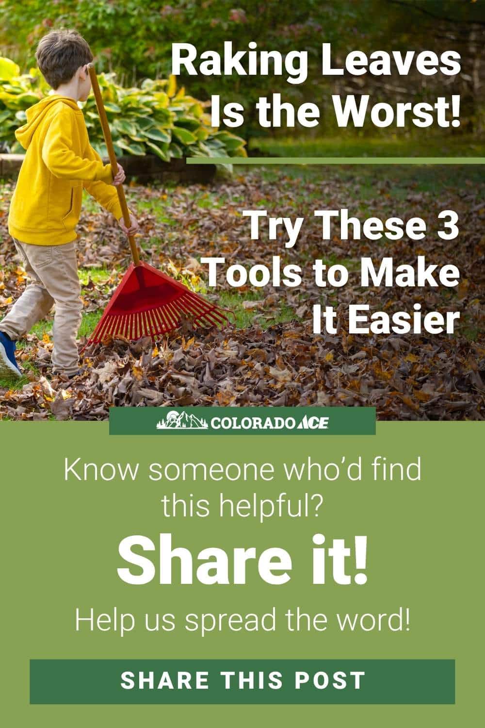 Promotional graphic featuring a child raking leaves with the text “Raking Leaves Is the Worst! Try These 3 Tools to Make It Easier.” Colorado Ace logo included with a call to share the post.