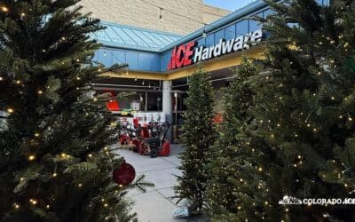 Nailed It! Your Go-To Gift Guide from Colorado Ace