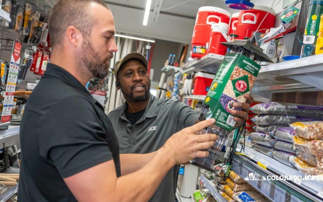 Backyard Birds of Colorado With Feeders, Food, and Fun Facts