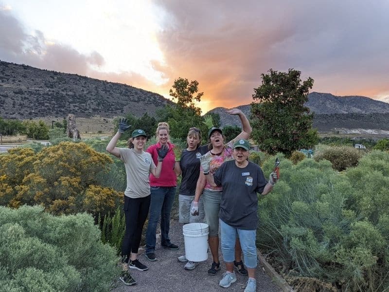 Parks Volunteer's out at the park