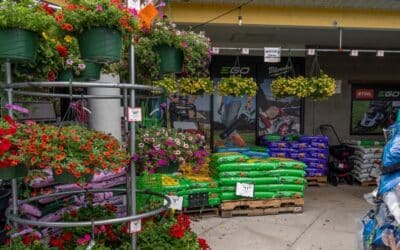5 Ways to Grow a Thriving Garden in Colorado’s Unique Climate