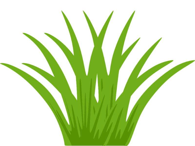Grass Icon