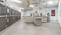 Veterinary Clinics Colorado Handyman Services