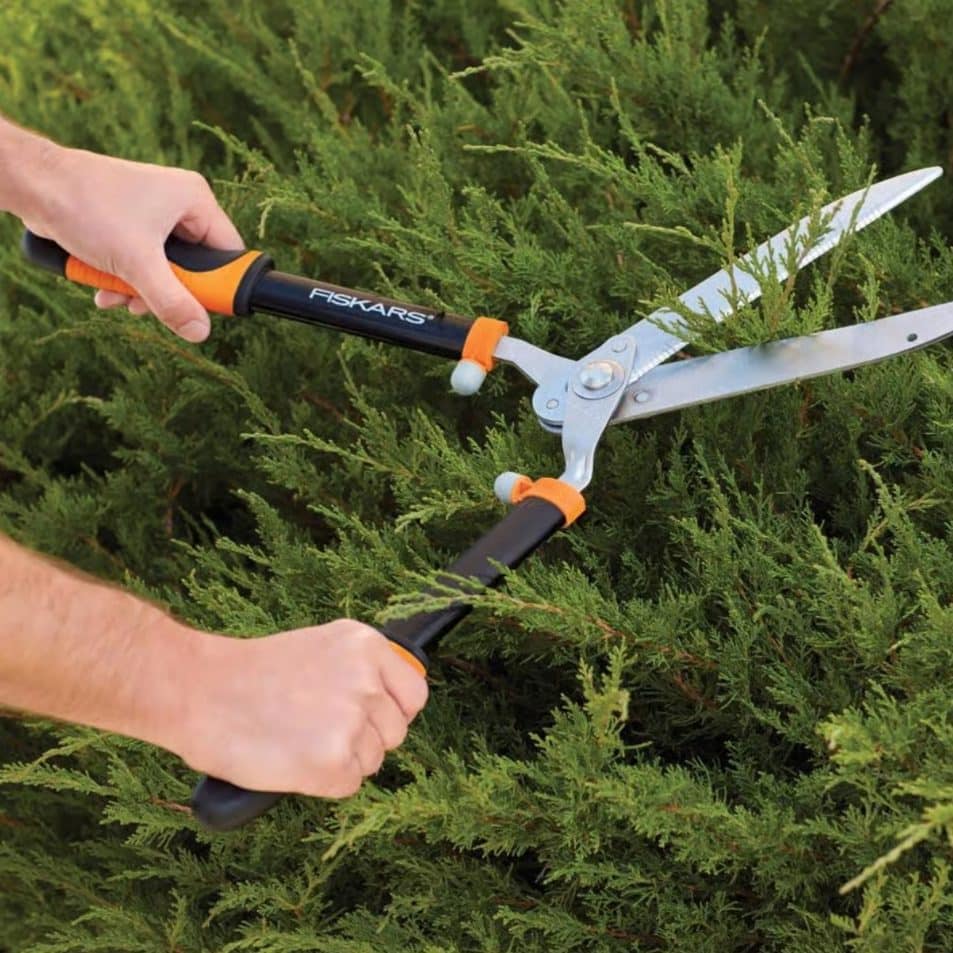 Fiskars hedge shears trimming outdoor shrubs during backyard landscaping maintenance