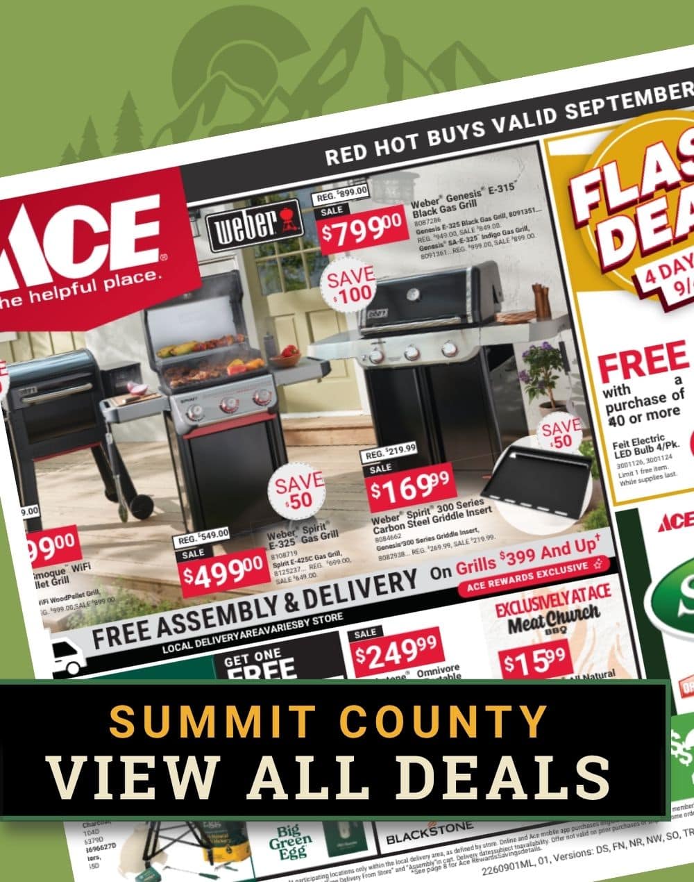 Red Hot Buys flyer featuring wild bird seed, garden products, and seasonal essentials at Colorado Ace Summit County